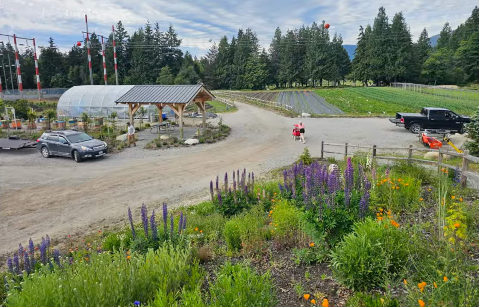 Salish Soils presents Swiya Farms